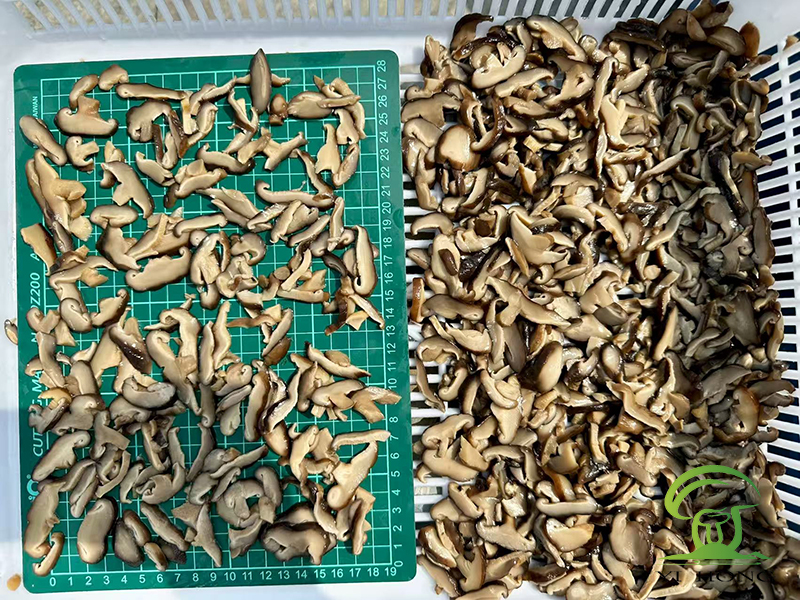 salted shiitake mushroom