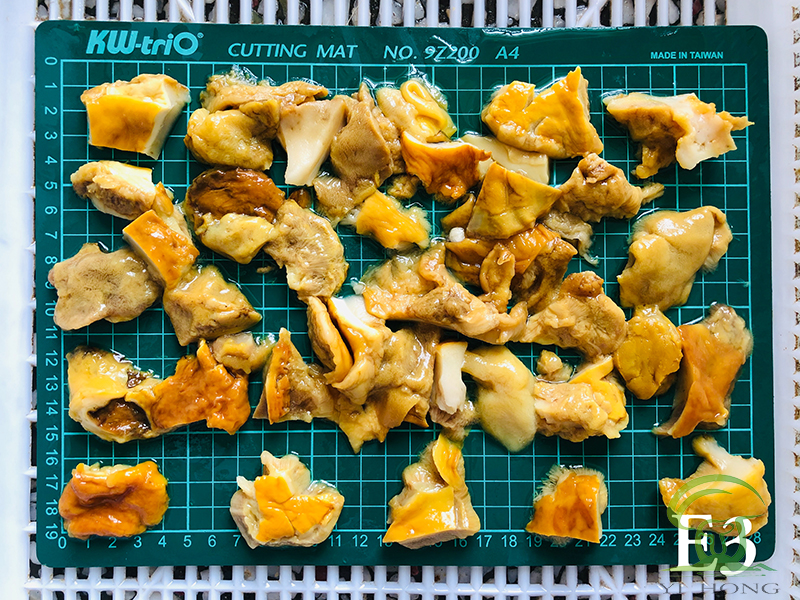 brined boletus edulis