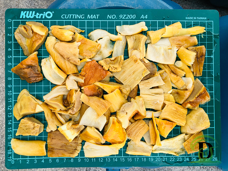 brined boletus edulis
