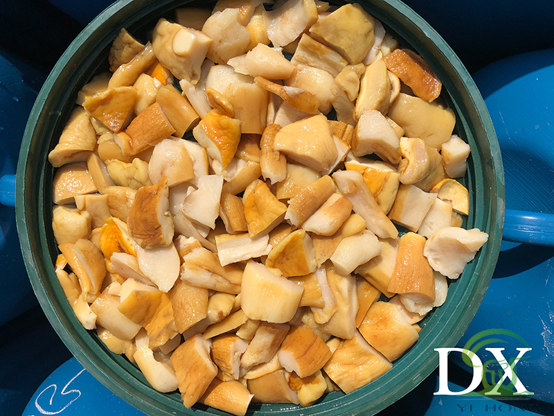 brined Boletus