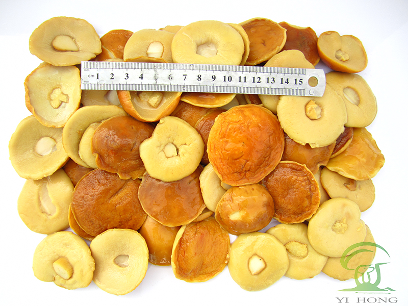 brined boletus edulis