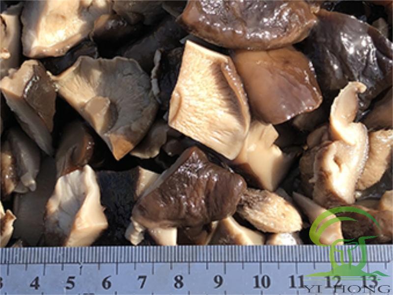 Shiitake Mushroom Blocks vs Whole Mushrooms: Which Format Is Better for Food Factories?