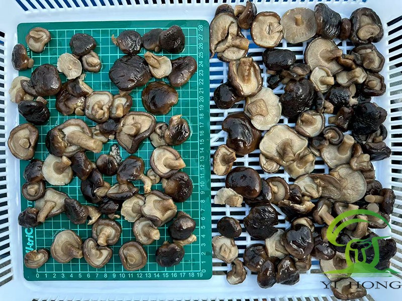 Brined Shiitake In Drum