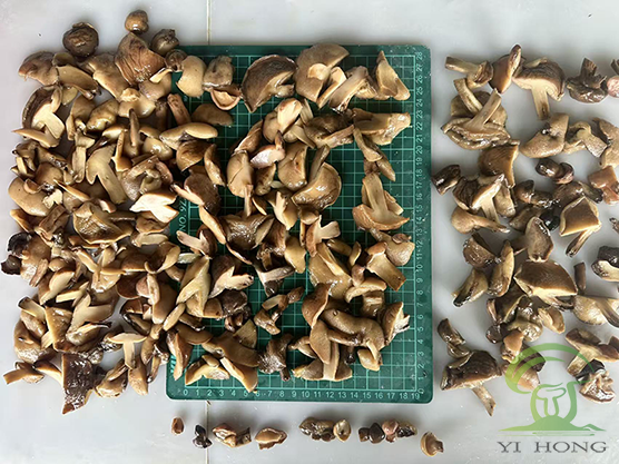 Αλατισμένο Shiitake σε τύμπανο για κατασκευαστές τροφίμων: Πώς να επιλέξετε το σωστό μέγεθος, κοπή και εμπορικές προδιαγραφές