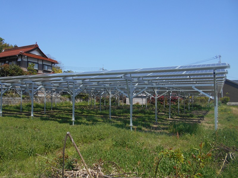 Farm Project In Tottori Prefecture Tottori City In Japan In April ,2020