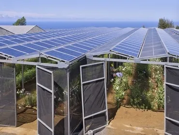 Sistemas de montaje de agricultura de granja solar