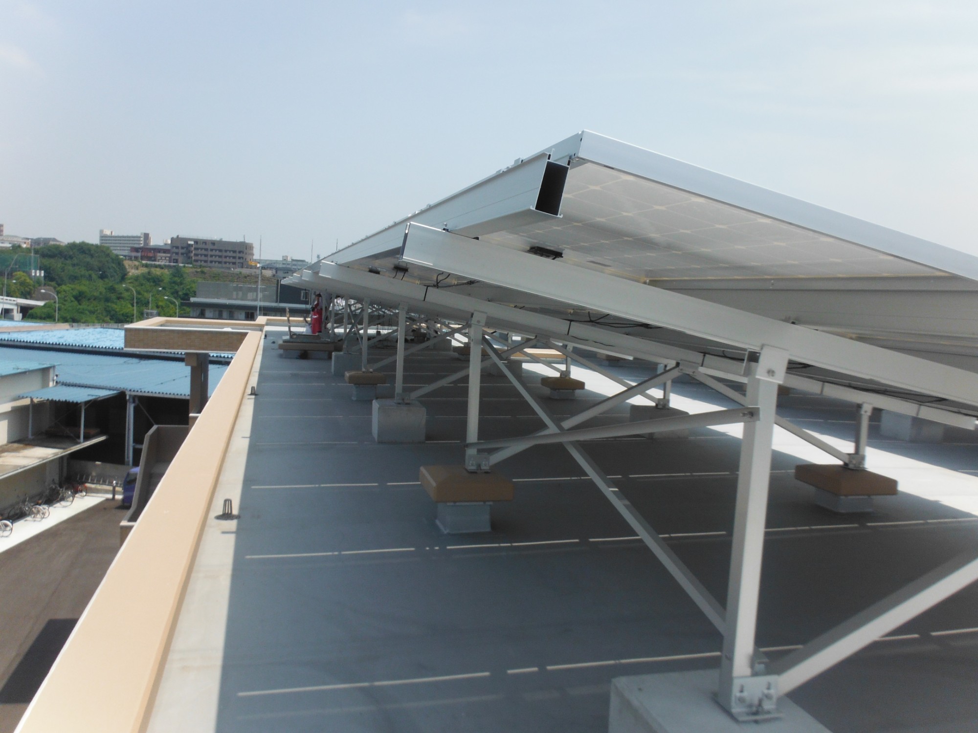 Китай Солнечные стеллажи с плоской крышей, производитель