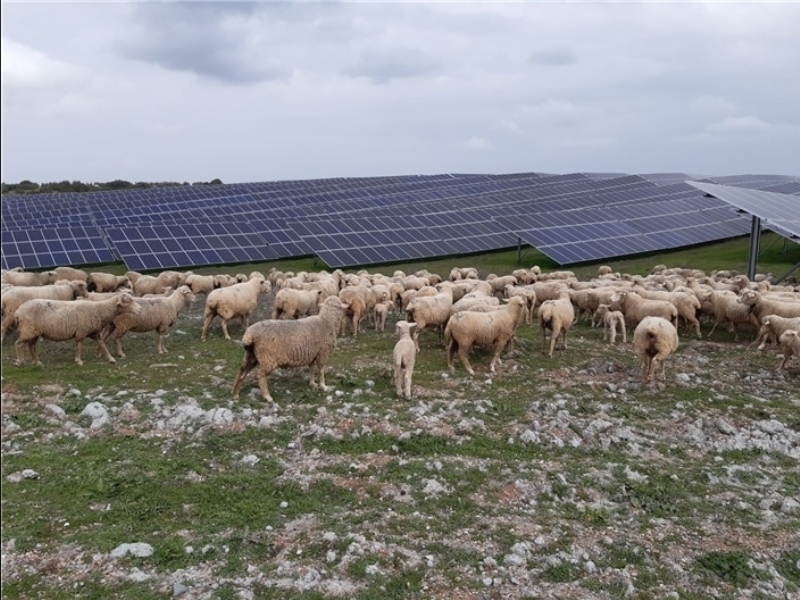 farm solar mounting system