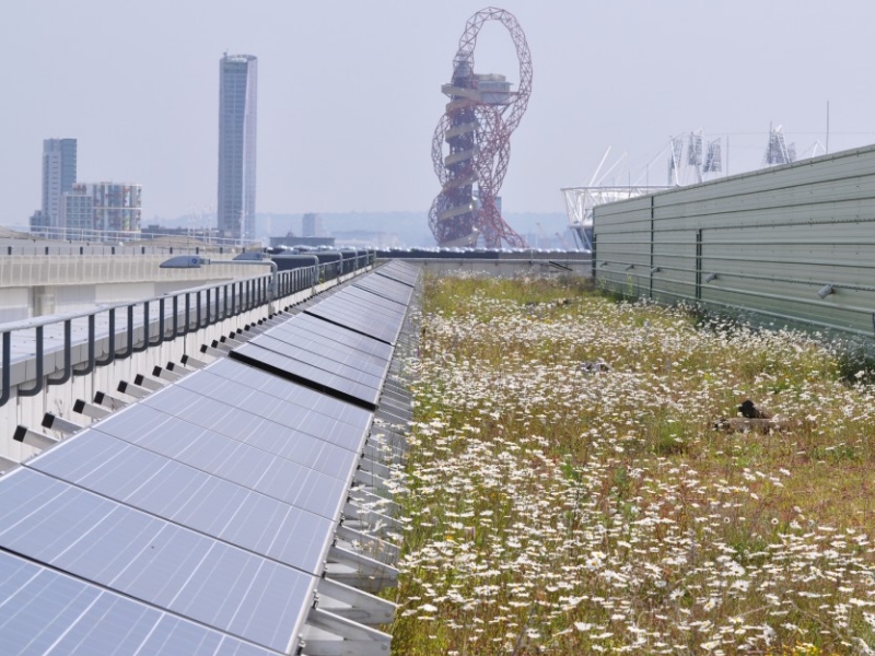 녹색 지붕과 태양광 발전은 스마트 녹색 인프라입니다.