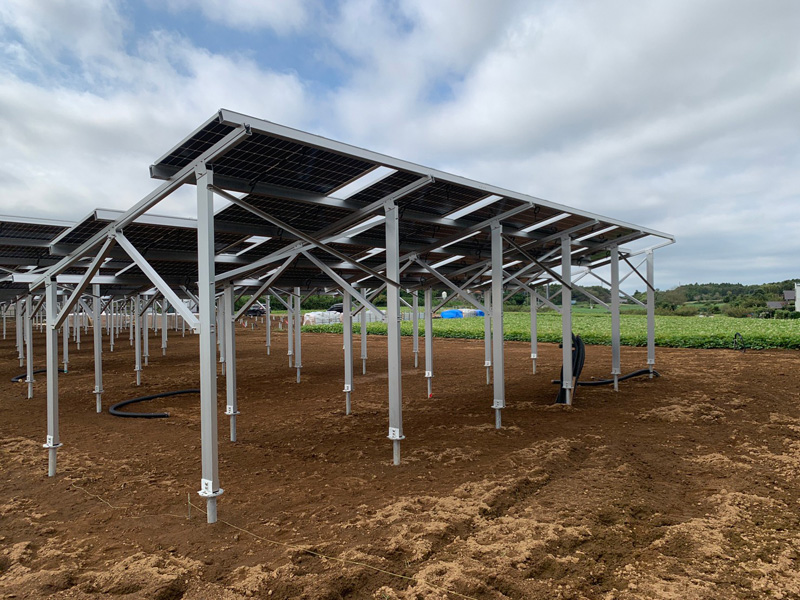 2021 Progetto della struttura di montaggio di una fattoria solare installato in Giappone