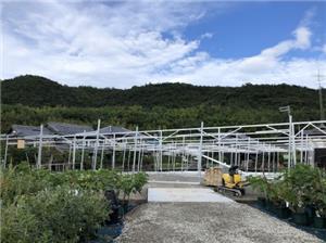 2021年9月設置 兵庫県ソーラーシェアリング