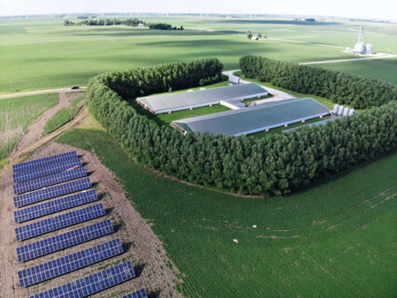 농장을 지원하려면 몇 개의 패널이 필요합니까? 그리고 얼마나 많은 전력을 생성할 수 있습니까?