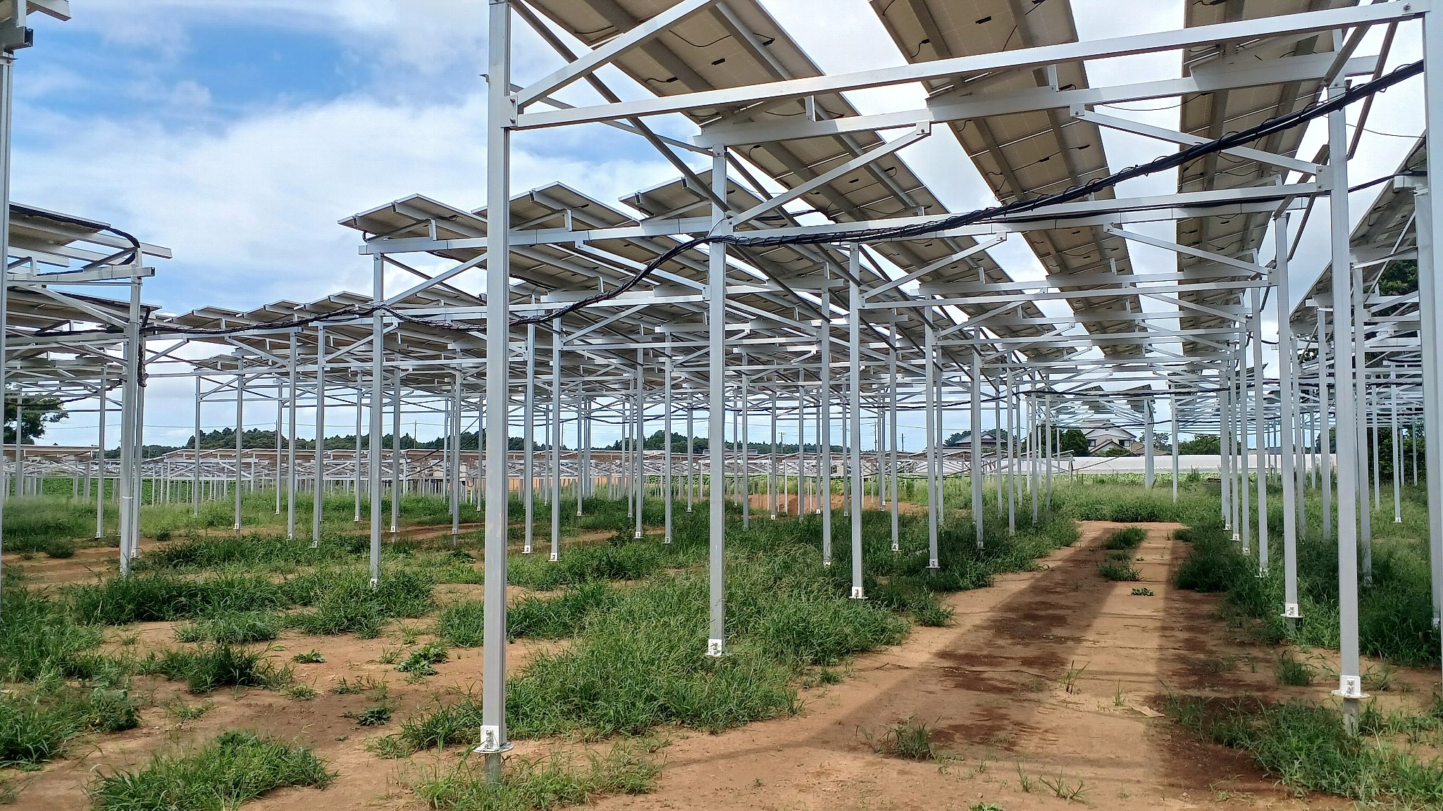 토지 효율성 극대화: 태양광 농업용 장착 시스템이 농업과 에너지 생산을 혁신하는 방법