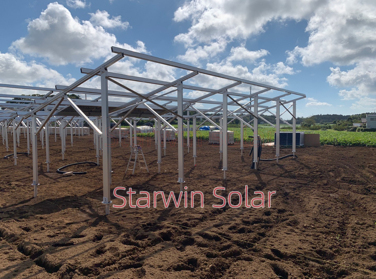 High Quality Hot Dipped Galvanized Ground Screw