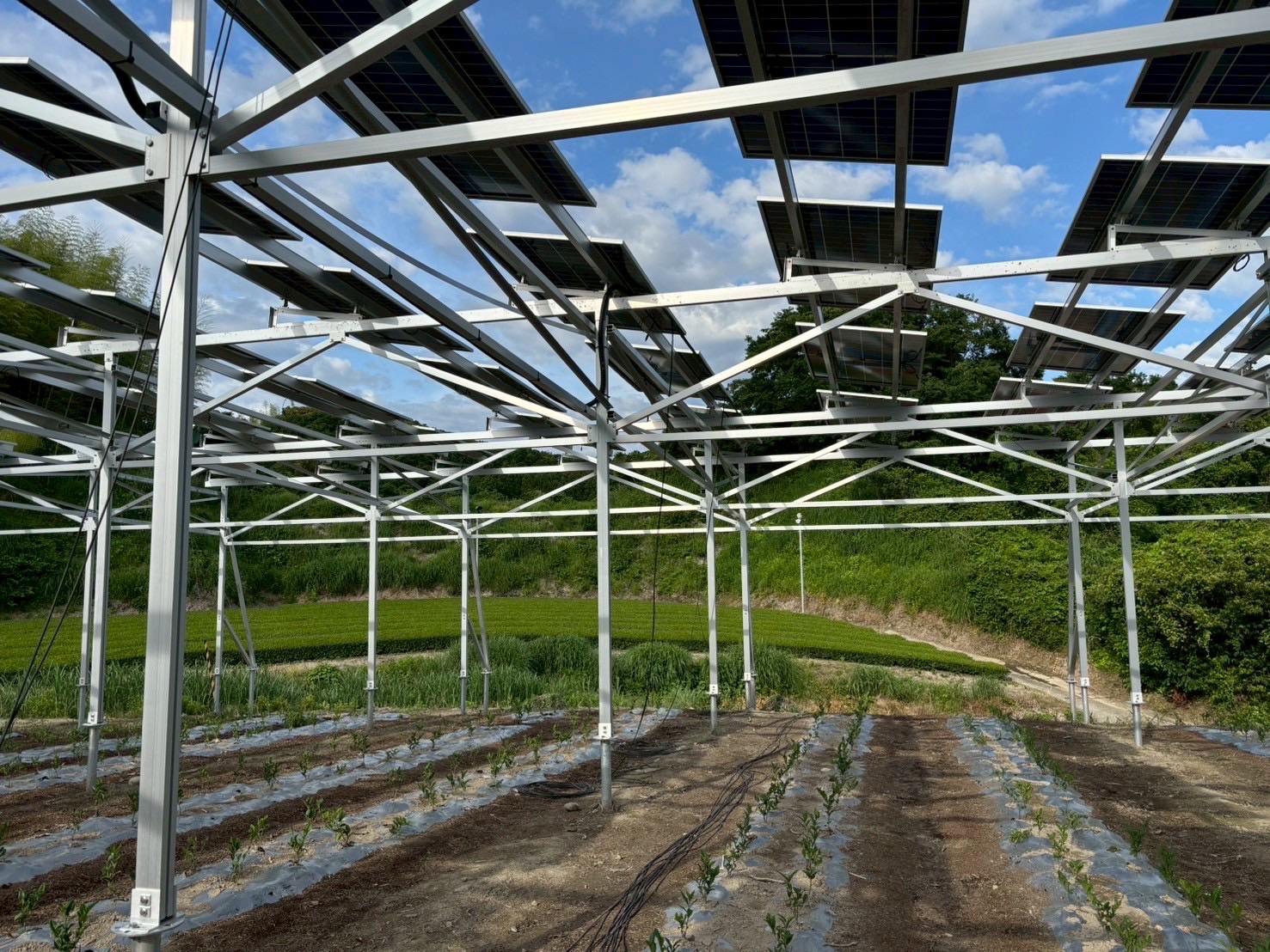 монтажные конструкции для солнечных электростанций