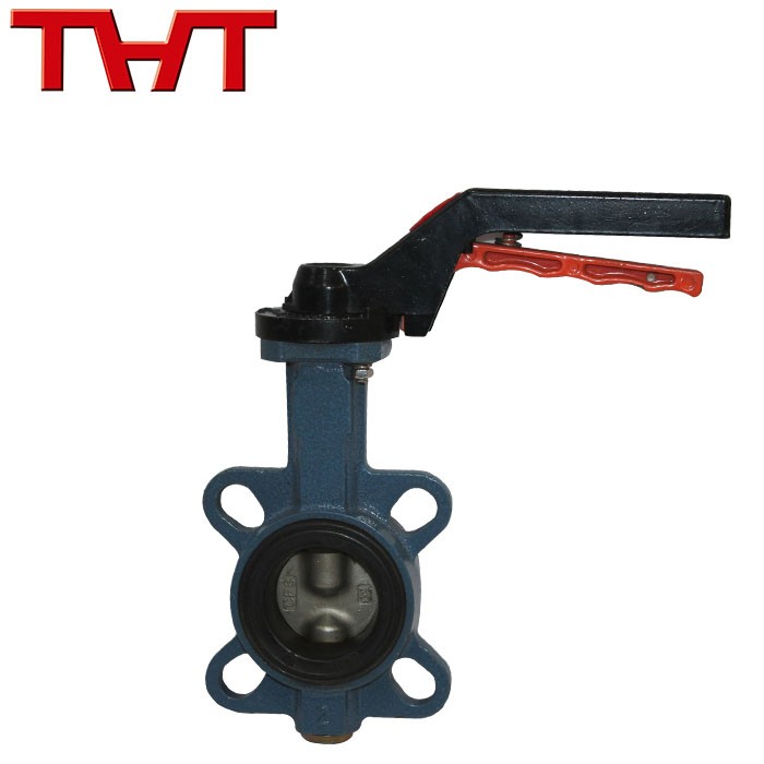 Small Ductile Iron Wafer Center Butterfly Valve