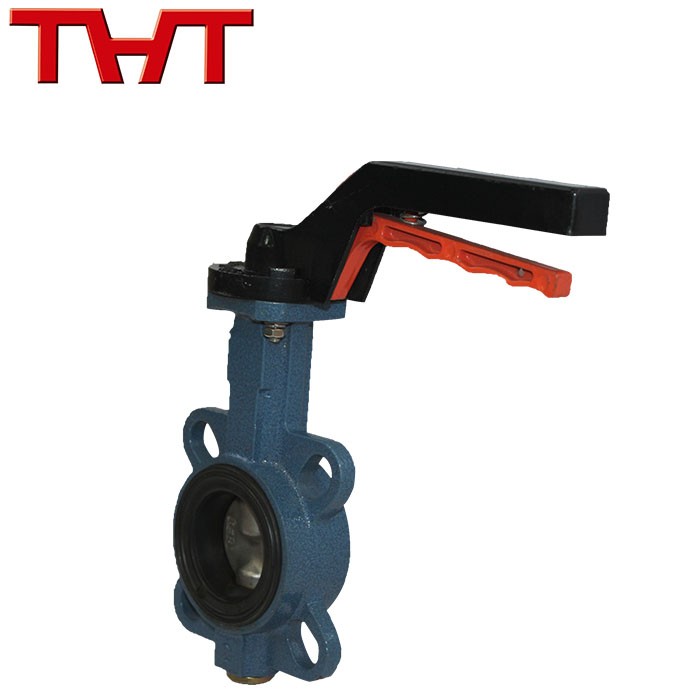 Small Ductile Iron Wafer Center Butterfly Valve