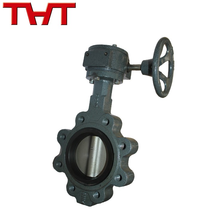 Central Lug Style Butterfly Valve