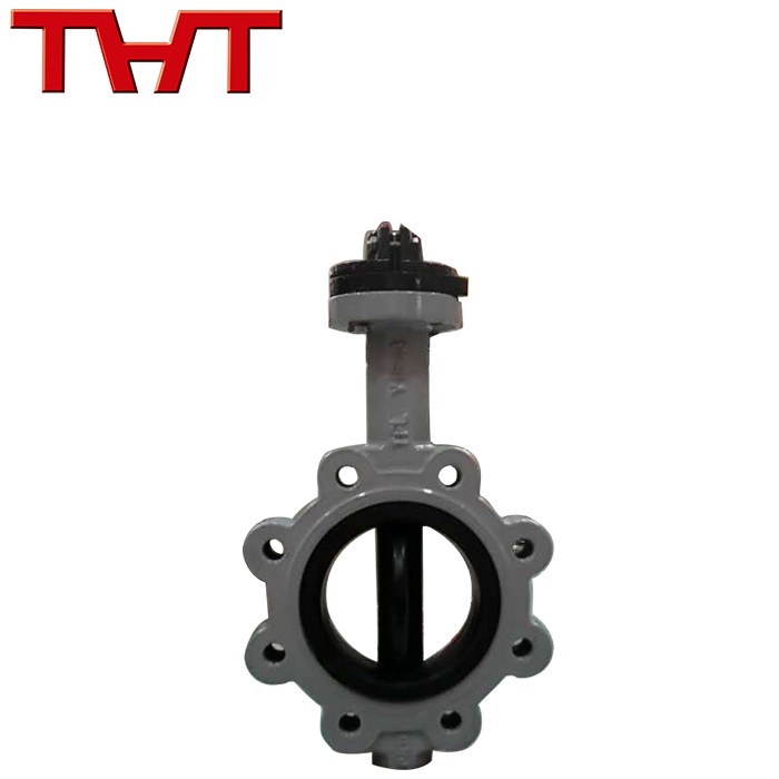 Lug Type Ductile Iron Viton Seat Butterfly Valve