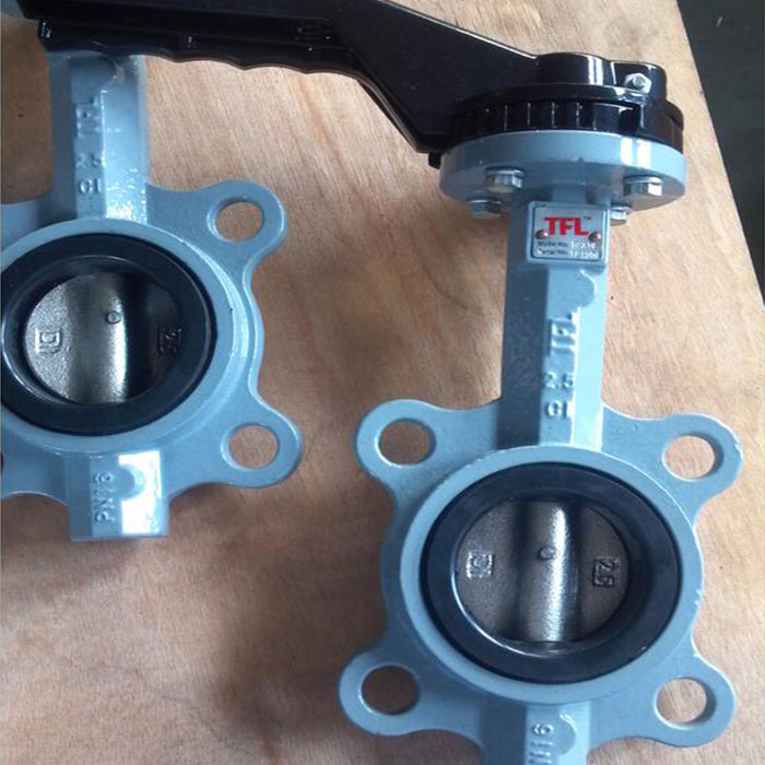 Ductile Iron Wafer Butterfly Valve