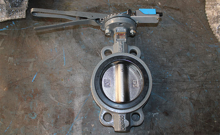 ANSI/DIN Butterfly Valve