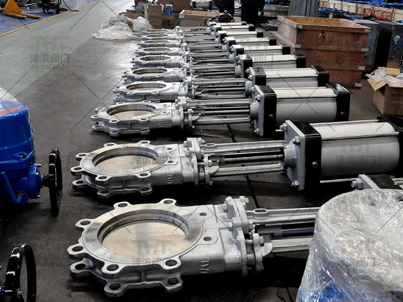 Double seal knife gate valves