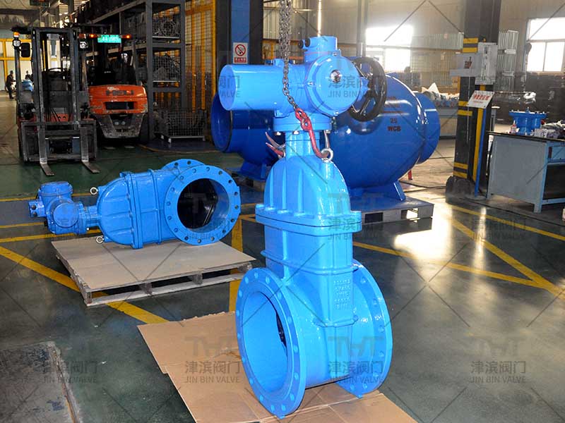 flanged gate valves