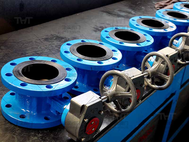 Manual center line flanged butterfly valve