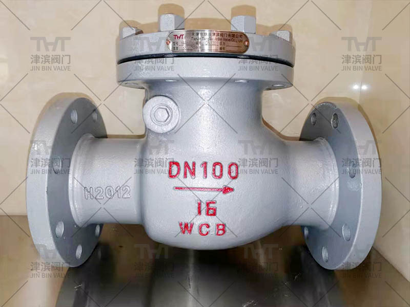 one way check valve