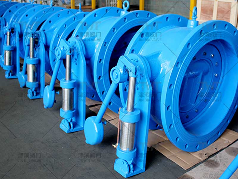 butterfly check valve