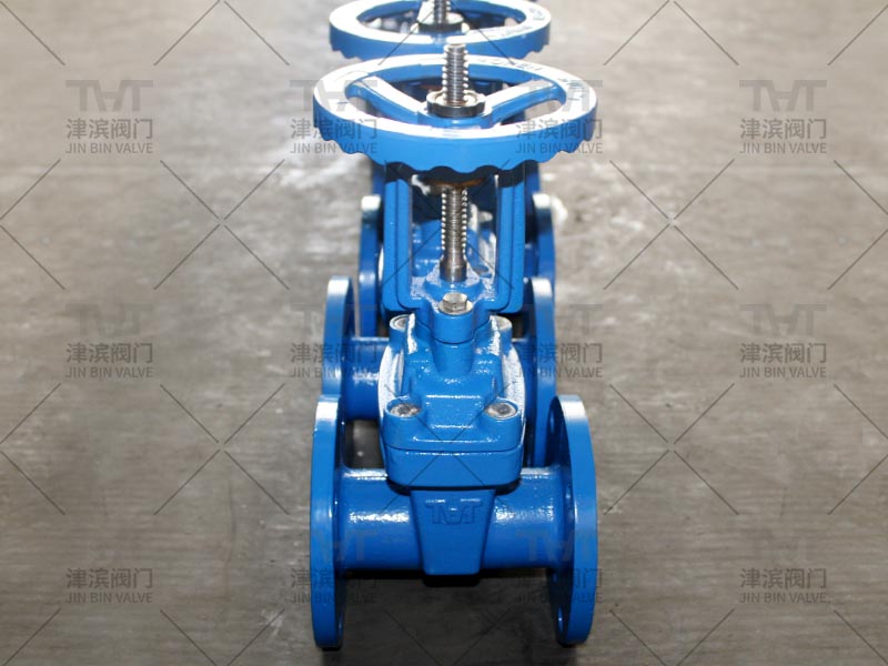 gate valve