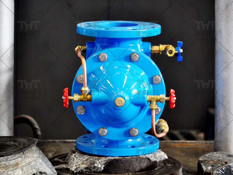 Water check valve