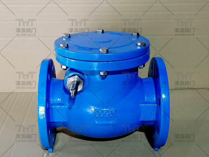 Water check valve