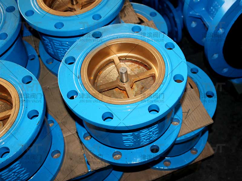 dual plate check valve