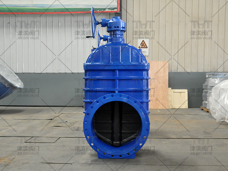 soft seal gate valve