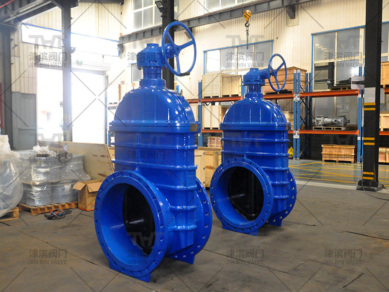 flanged gate valve