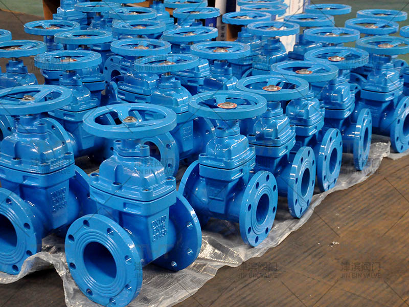 seal gate valves