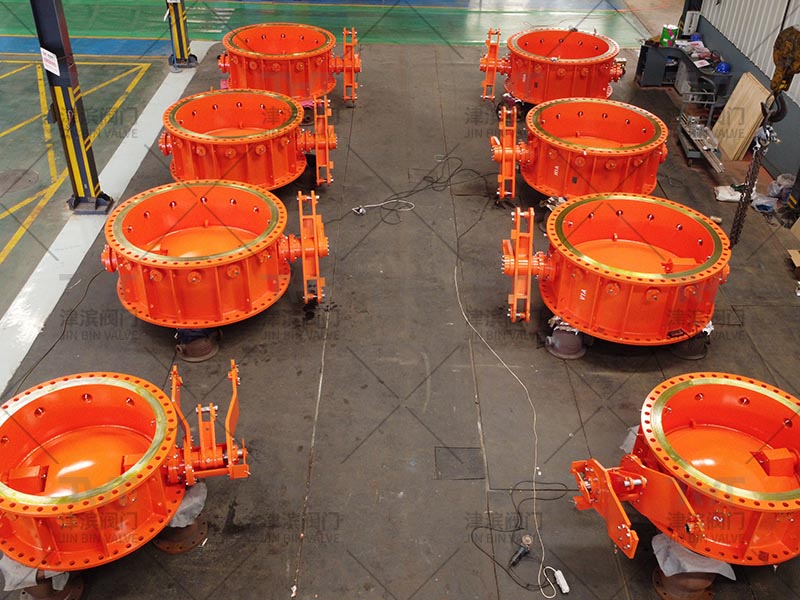 Custom butterfly valve