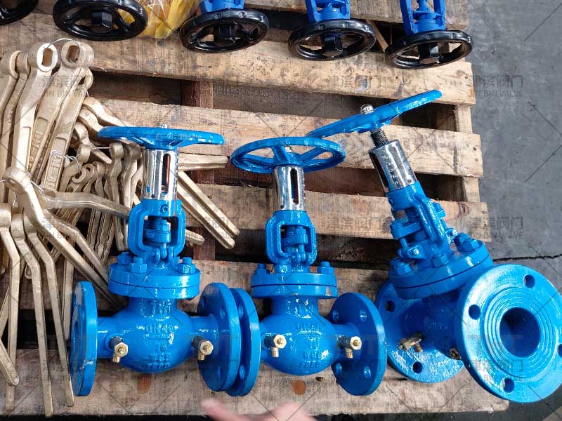 globe control valve