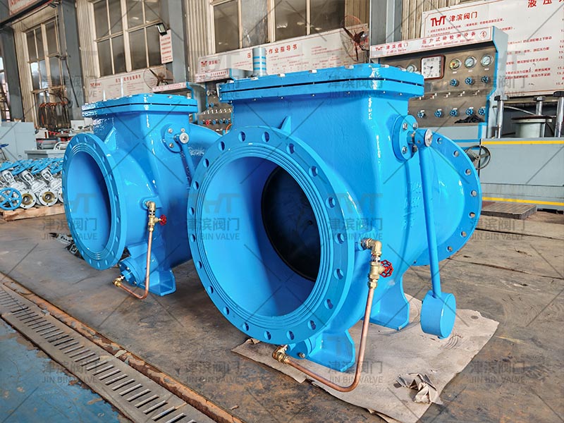 Flanged check valve