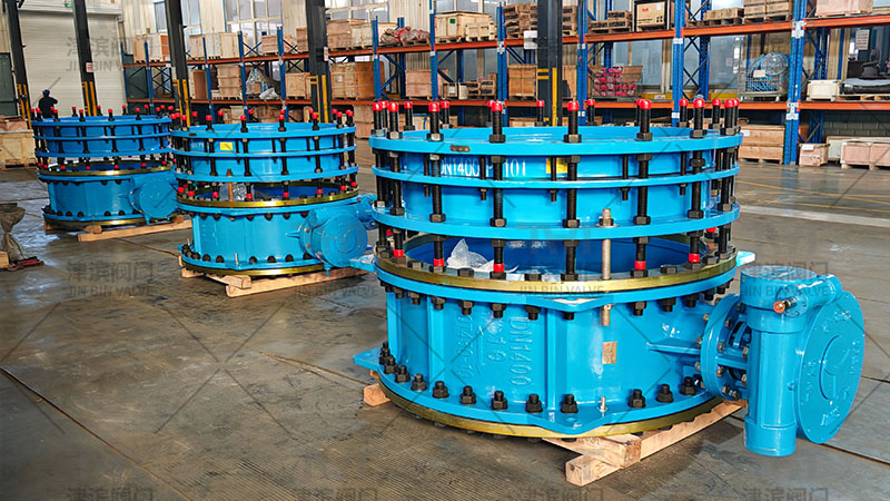 eccentric butterfly valve