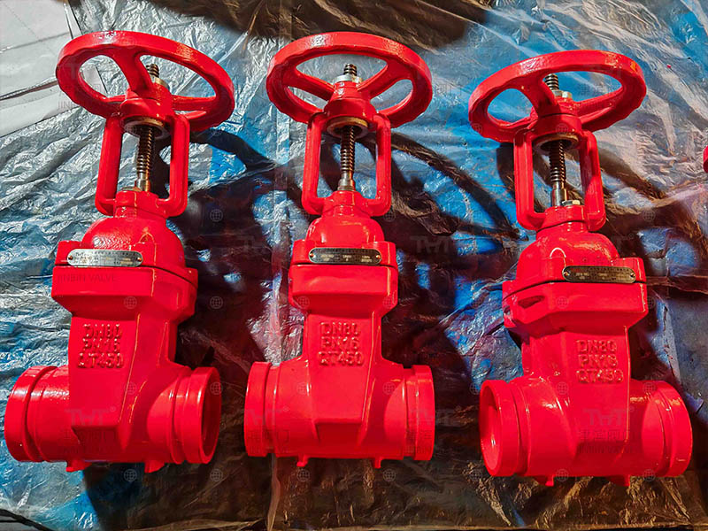 gate valve