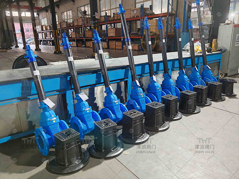 cast Iron gate valve