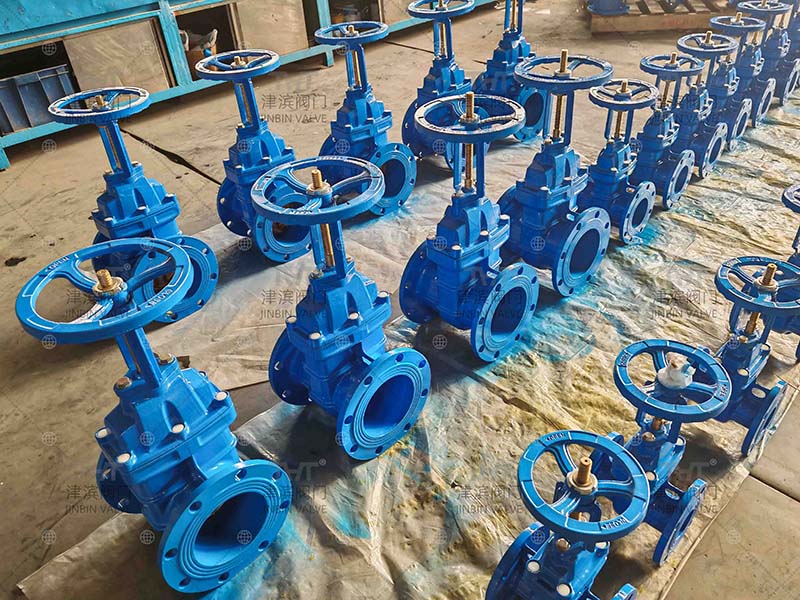 Rising gate valve