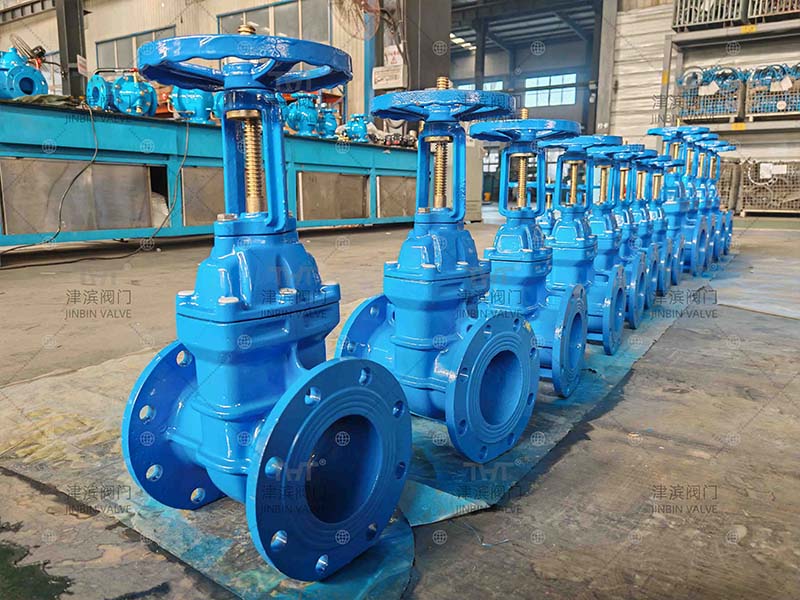 tem gate valve