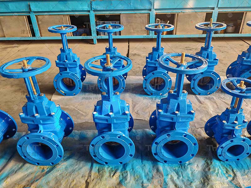 Rising gate valve