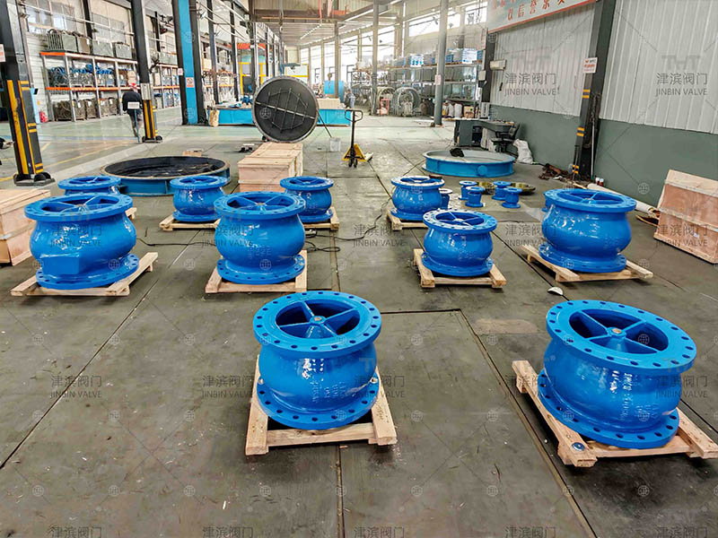 flanged check valve