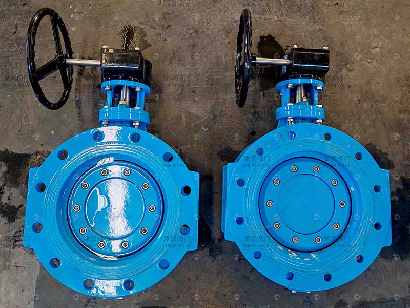 Double eccentric butterfly valve