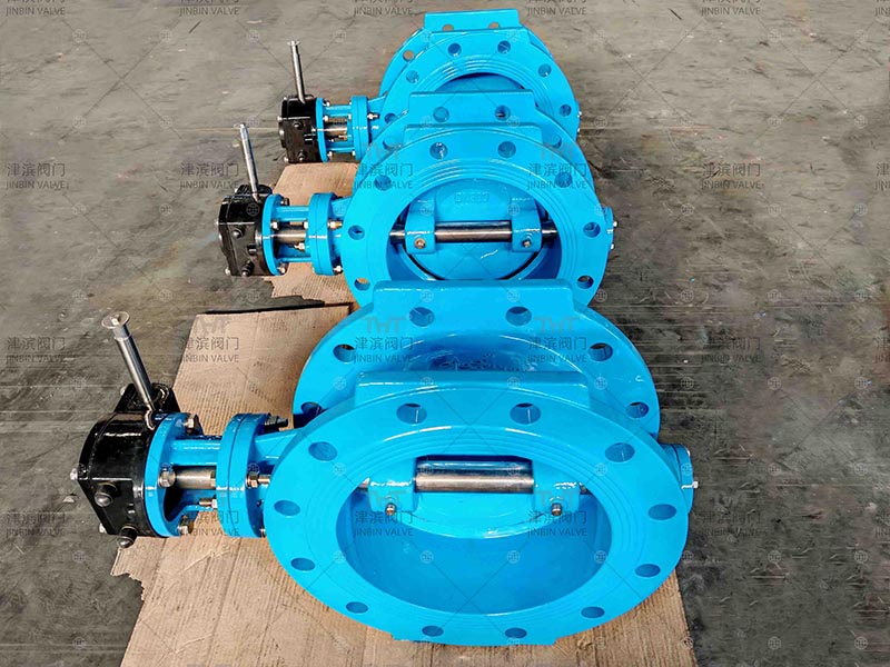 Double eccentric butterfly valve