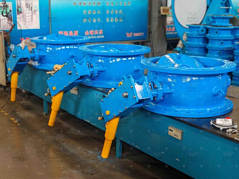 check valve GGG50